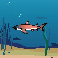 78964944229926021655968168462037545876501657311134209832205588838641018339329