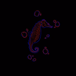 #05 Seahorse (Common)