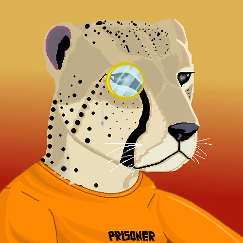CryptoDigiZok Collection - old