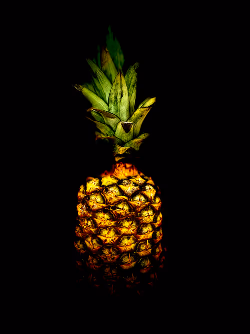 Item #71977679437914570587944804398027631852132377710496257291130818484845101973505 Media