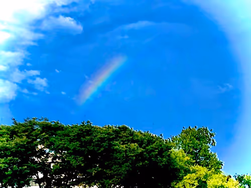 Item #21226432917160216179699714668297725626108258073525100821406135234598623248385 Media