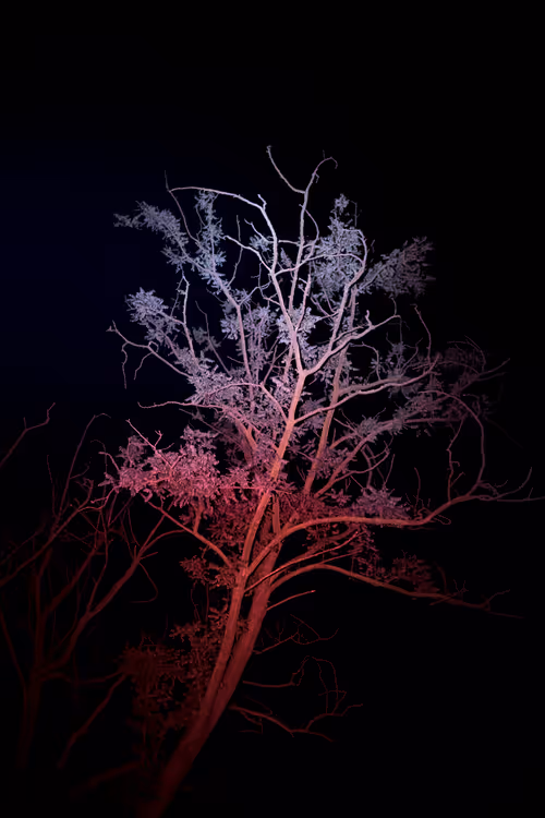 Item #93364819156107655165095668382101876384871311475785337454546501279570620055553 Media