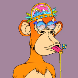 34364242174392038247000171429866703485334863101017511533495081211877862146049