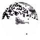 73474911565276893363269127585336255498112534630235322163062143243677939531777