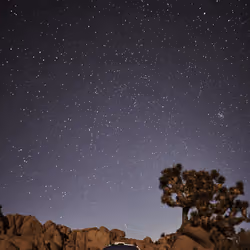 Camping in Joshua Tree National Park