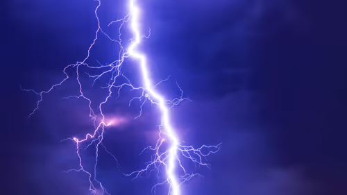 Item #10084359296818805900754201527705818084657327747605854224485982378983151370340 Media