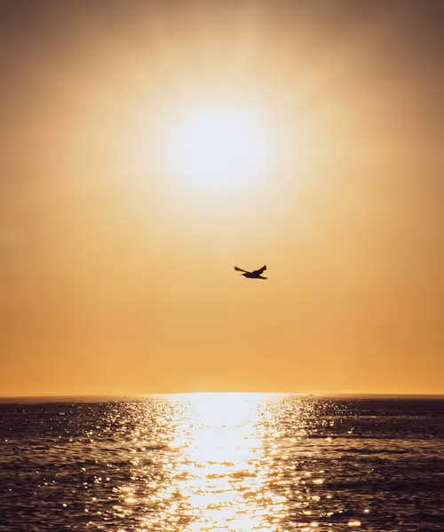 Item #61140817841535323188943582947873458398896939162862574355994582755721181396993 Media