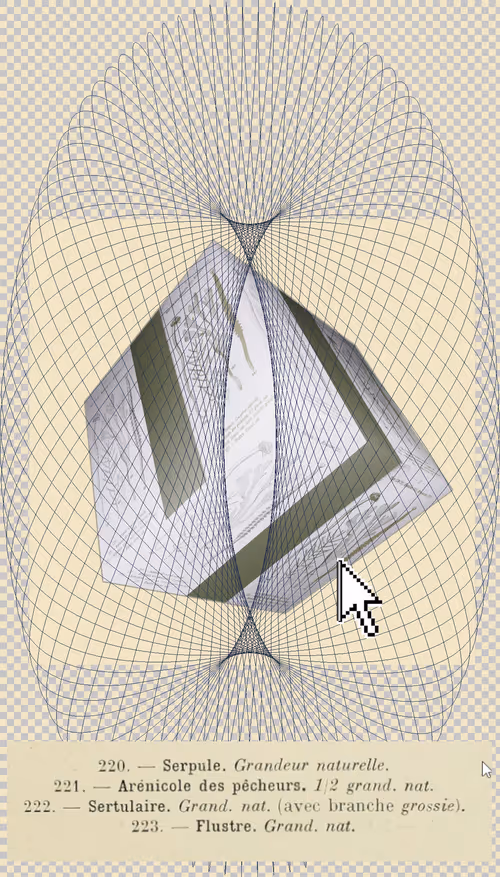 Item #91754164606506966575596469571565985485613429950187136926502423076011109253121 Media