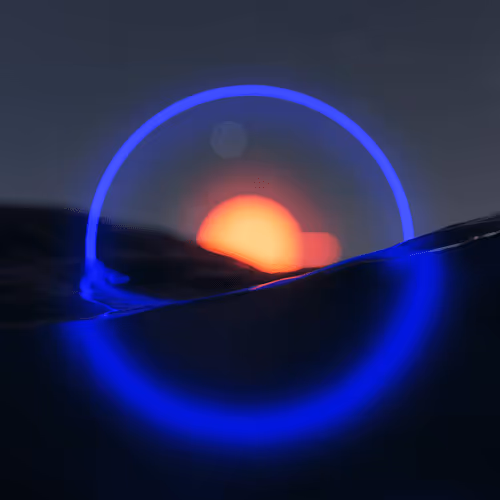 The Movement Collection