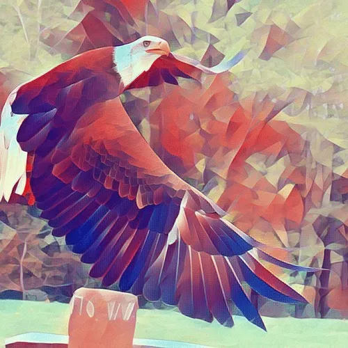 Polyxanimal