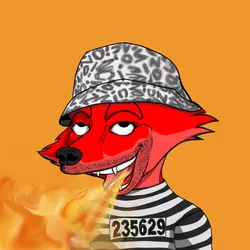 Cunning Fox 13905