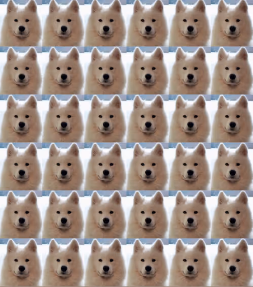 Item #919881104117818023937162122873745772427003128789095818032177416603304984577 Media