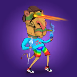 Cool Camel #0037