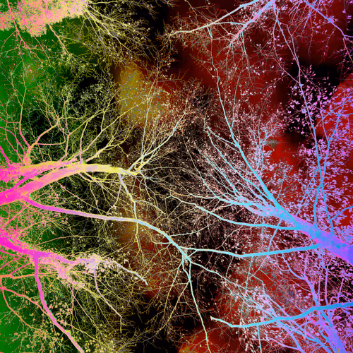 Untitled Collection #148048074 - old