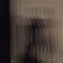 Shadow