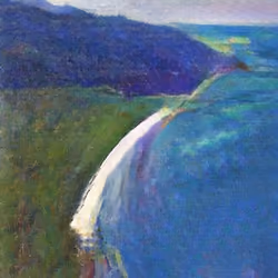 Coastal Forest