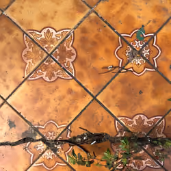 Old floor by Jayforest