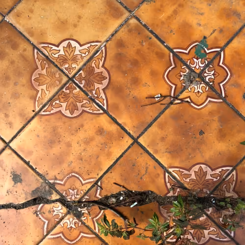 Old floor by Jayforest