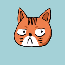 CAT H