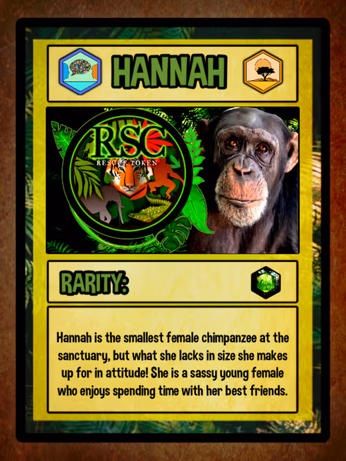 Item #23677228693604097603169999339602269095537618386014397005573117033963801542659 Media