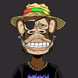 monkey pebe #8