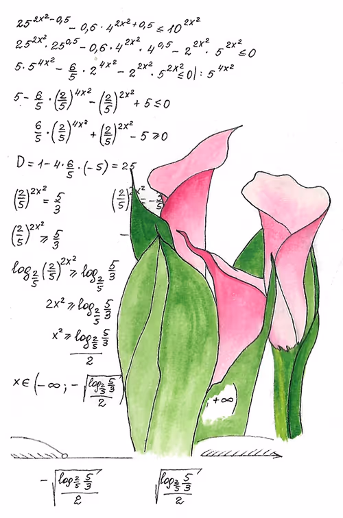 Item #36390991376323569421262646348777471378712705161451959237652915829875908018177 Media