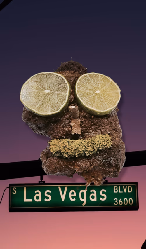 Item #100909502448086356706660368779487088653809768188601857193380373259540490092545 Media