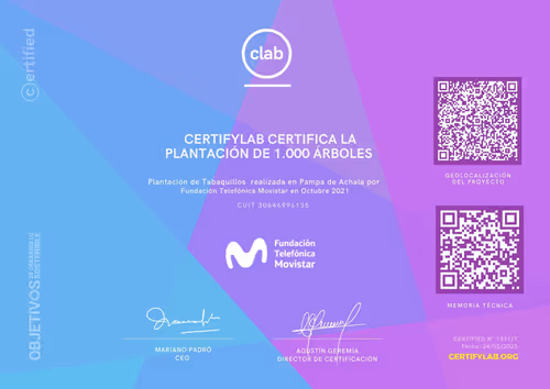 Item #82174489999726127748053989005133901530503286489307655945421605357058277769217 Media