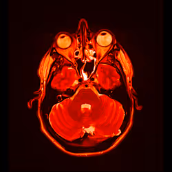 64162533542198579898252916190583583845604629893829087458582976019570901385217