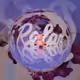 17437593626094207302134887766960457931702990544772756730517493241685200601089