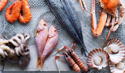 Frank_Leeee Collection