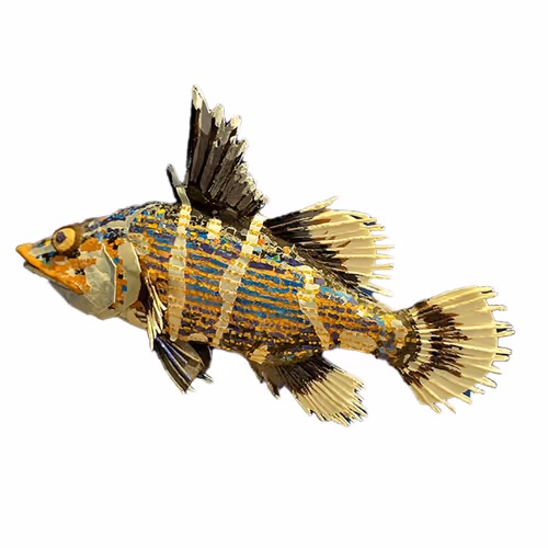 Item #9229184775601453528234625013194060345910383497059709964001987438327715856394 Media