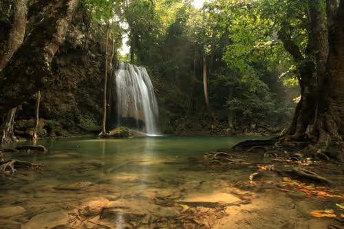 Item #11717075435639617062538583051799023982813876484308334407242089890979625566209 Media