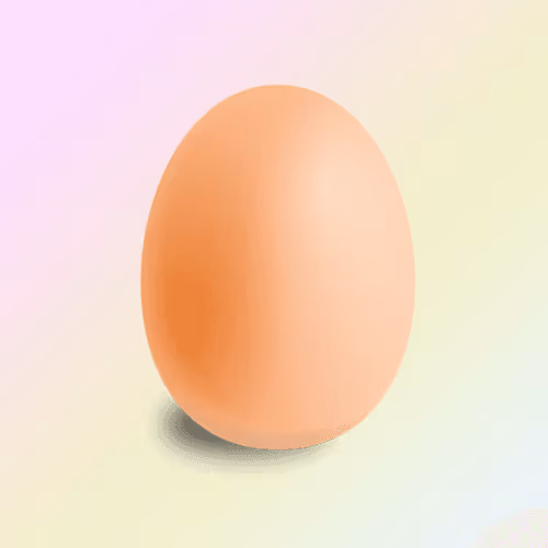 The egg