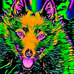 50830097462543580601473563981388698009005024090223633461481089677701228265473