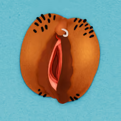 CryptoVag #14