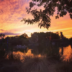 Phoenix Zoo Sunset