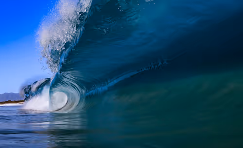 Item #19717472655541438358875111876949792254809295352552867053113992354811569242113 Media