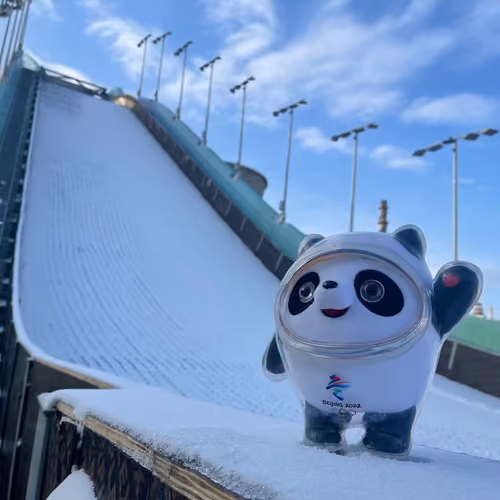 Ice Panda