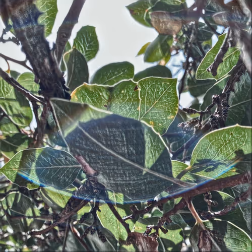 Item #27434377377013038178664737441891876800279773627045091571206927230860143886337 Media