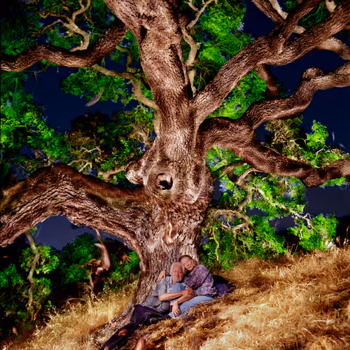 Ann and Sasha Shulgin; 'Psychedelic Pioneers' by Dean Chamberlain