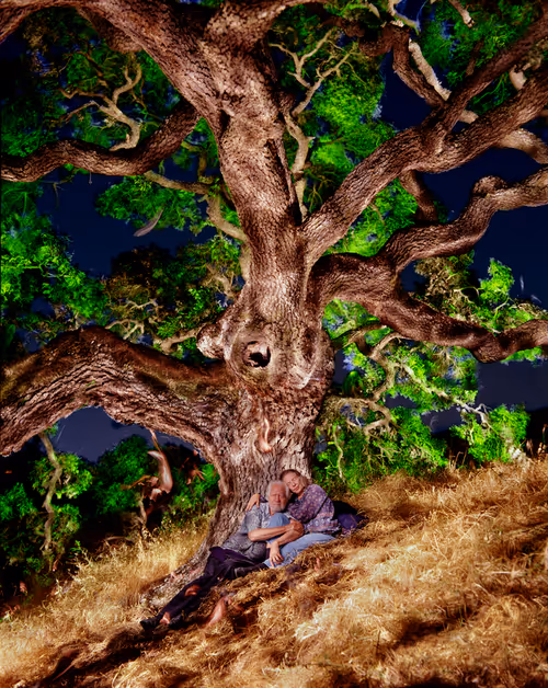 Item #109162157552346088047496633038404394118504199992061596446112929799743733760006 Media