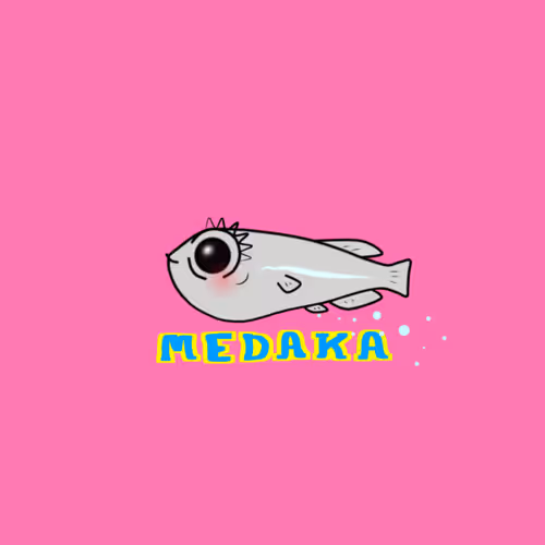 Item #59264890545075691125548618052577957586934520624757835634364105719874722988033 Media