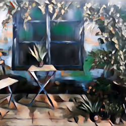 A window and plants