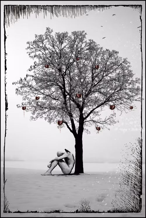 Item #8085254141654812684738761113738258081454055288701000052945293679884735873025 Media