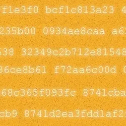 Wire in Numeris IV
