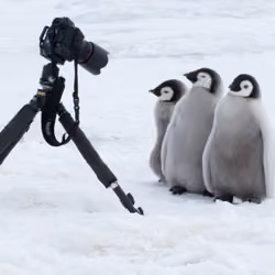 Smile!