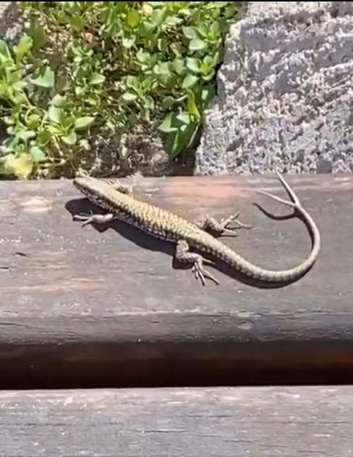 Item #109042716768868120048360110491268588916646873708822311021441748378976750927873 Media