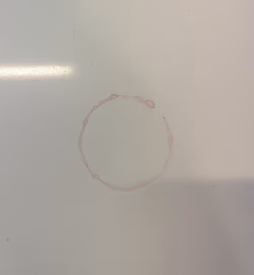 Item #44659341983174900277615426972380684672489201164834520372691987092017715871745 Media