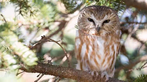 Item #14465647019641069764285695215364586656247394667892209810907059737609088532481 Media